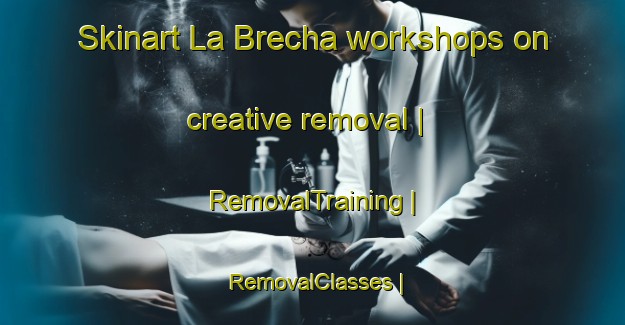Skinart La Brecha workshops on creative removal | RemovalTraining | RemovalClasses | SkinartTraining-Mexico
